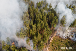 Лесной пожар на озере Глухое. Свердловская область, лес горит, лесной пожар, пожар в лесу