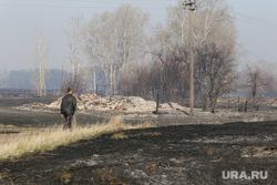 Лесные пожары. Курган, после пожара, деревня ордино, сгоревшая деревня