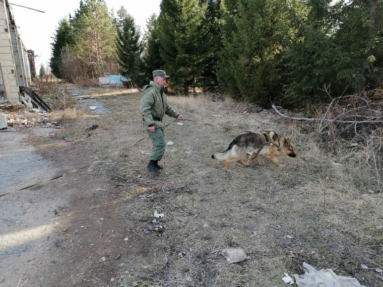 Пограничники ПУ ФСБ России по Курганской и Тюменской областям задержали трех иностранцев-нарушителей границ