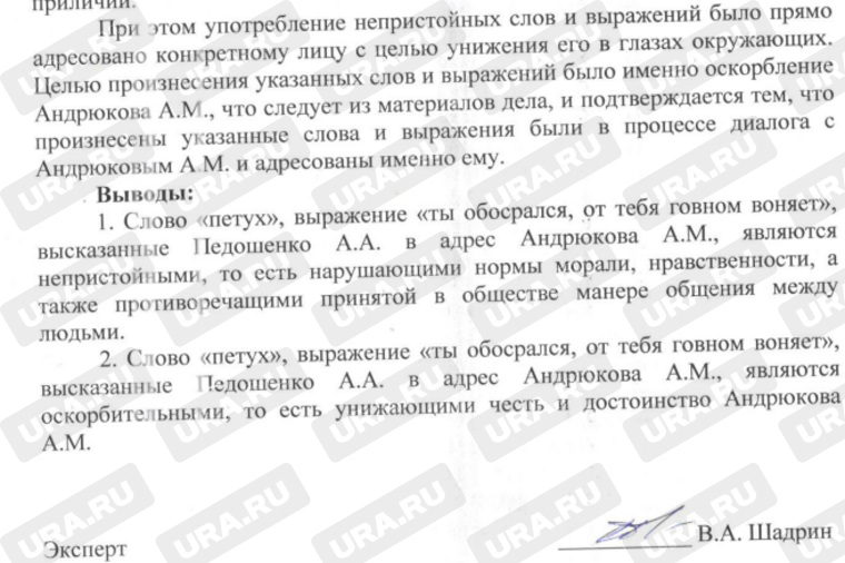 Вторая экспертиза признала выражения депутата Шадринской гордумы в адрес общественника оскорбительными
