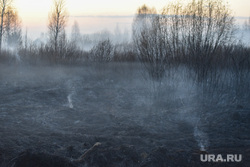 Последствия пожара в поле близ коттеджного поселка Совушки. Екатеринбург , дым, задымление, смог, последствия пожара, пожар в поле, лес в дыму, совушки