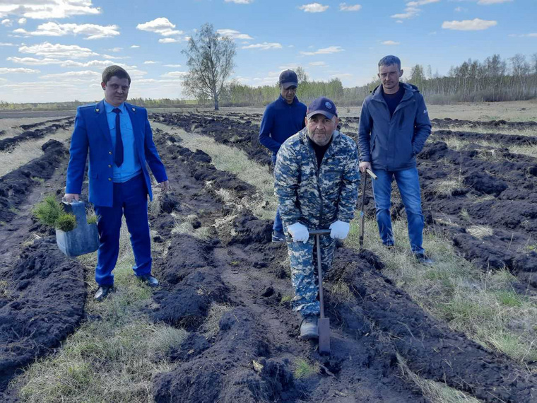 Рамис Галеев (в центре) — главный идеолог патриотической посадки деревьев