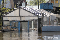 Паводок Затопленные дома Курган, паводок2016, теплица в воде, наводнение