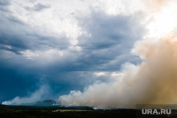 Горящий лес возле горы Волчиха. Свердловская область , первоуральский городской округ, лесной пожар, дым от пожара, пожар на волчихе