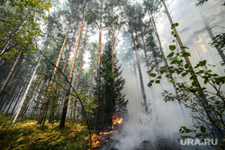 Лесной пожар на озере Глухое. Свердловская область, дым, пожар, первоуральский городской округ, огонь, лес горит, лесной пожар, пожар в лесу, последствия пожара, лес в дыму