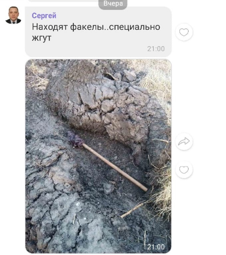Жители Патронного (Кетовский район) нашли несколько факелов рядом с СНТ
