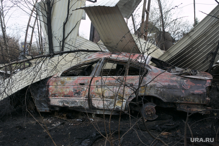Последствия лесного пожара у поселка Богандинский. Тюмень 