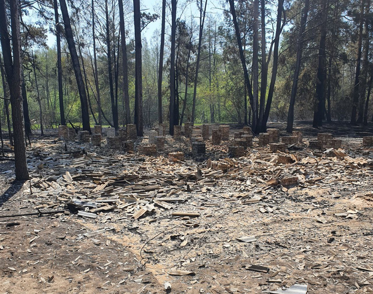 Также огонь повредил часть деревьев