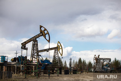 Качалки. Сургут, газ, газпром, топливо, роснефть, качалка, экономика, нефть, месторождение, нефтедобыча, добыча нефти, природные ресурсы, лукоил, сургутнефтегаз, куст нефтегазовый, цены на нефть