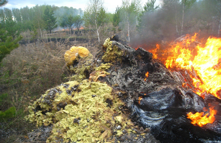 Огонь мог нарушить экосистему ценного лесного массива