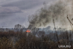 Пожар на шоссе Тюнина. Курган, пожар, лесной, тушение пожара