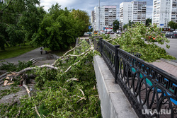 Последствия урагана в Екатеринбурге, сломанное дерево, улица карла либкнехта, екатеринбург , циклон, забор, последствия урагана, остановка тюз