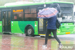 Дождливая погода. Тюмень, остановка, автобусная остановка, непогода, автобус, прохожие, остановка общественного транспорта, пешеходы, люди с зонтами, дождливая погода, пасмурная погода, дождь, человек с зонтом, прохожие весной
