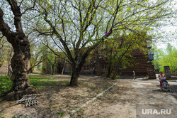 Немецкий квартал. Челябинск, двор, старые дома, старые деревья