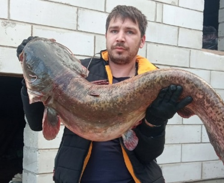 Вес рыбы — 16 кг