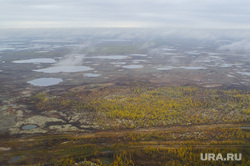 Природа Ямало-Ненецкого автономного округа, север, тундра, арктика, ямал, природа ямала, озера, вид сверху, осень, с квадрокоптера