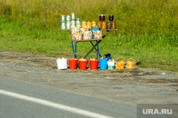 Автодорога М5. Челябинск, торговля, консервы, грибы, м5, придорожная торговля, автотранспорт, трасса м5, дорога