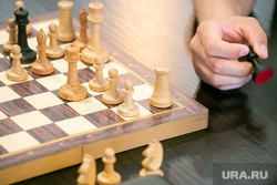 Шахматы. Тюмень, шахматисты, шахматы, шахматная доска, игра в шахматы