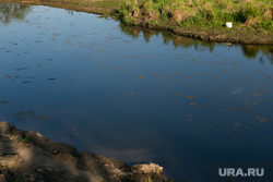 Водоём в Решетникова, где утонили дети. Тюмень , карьер, берег, водоем, берег водоема