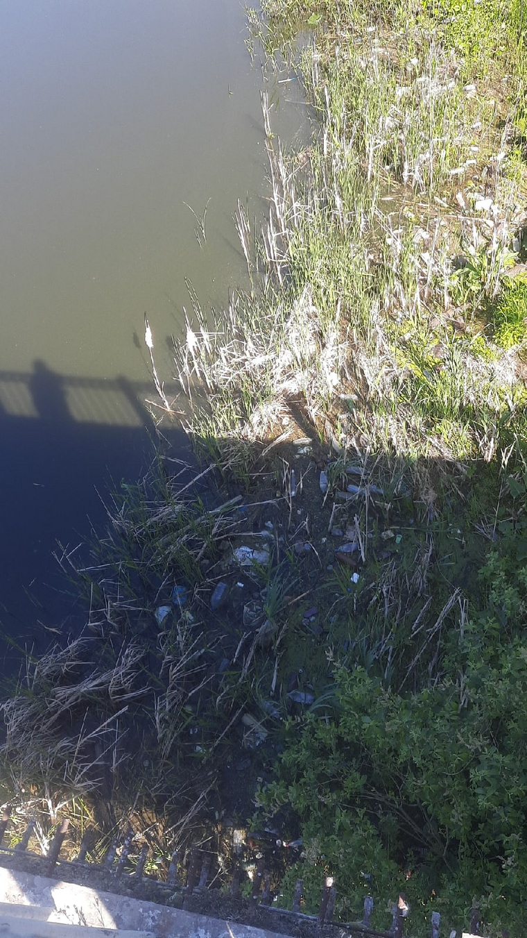 Свердловчане недовольны мусором в реке