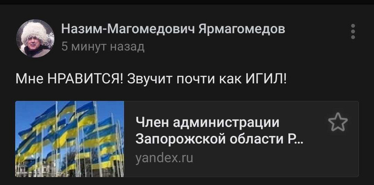 Комментаторам понравилась аналогия с запрещенной на территории РФ террористической организацией «Исламское государство»