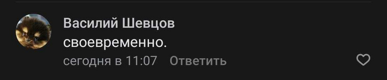 Василий Шевцов коротко прокомментировал свою точку зрения