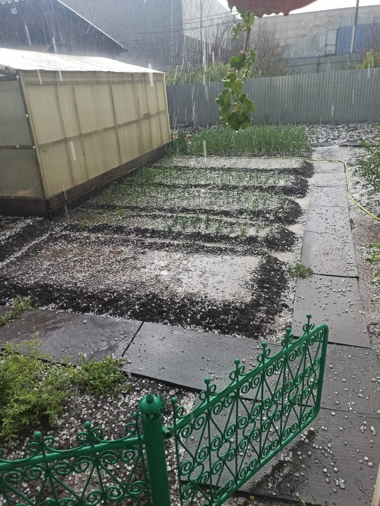 Крупный град в Аргаяшском районе побил растения