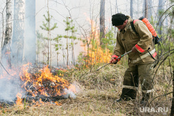 The forest is on fire.  Tyumen, fire truck, fire, fire, grass is burning, forest is burning, forest fire, fire in the forest, grass is burning