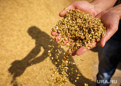 TRT: Турция, Россия и Украина начали решать «зерновую проблему»