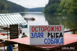 Форелевая ферма на реке Куба. Свердловская область, Михайловск, форелевое хозяйство, злая рыба