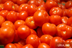 ТЦ «Лента». Магнитогорск, овощи, помидоры, томаты