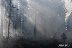 Лесной пожар на озере Глухое. Свердловская область, дым, последствия пожара, лес в дыму, пожар у озера глухое