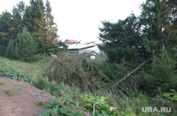 Последствия штормового ветра в поселке Нердва Карагайского района Пермского края, дерево упало