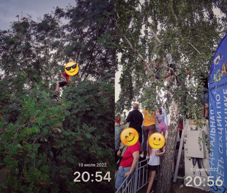 Чтобы посмотреть на концерт группы «Иванушки International» тюменцам пришлось залазить на дерево