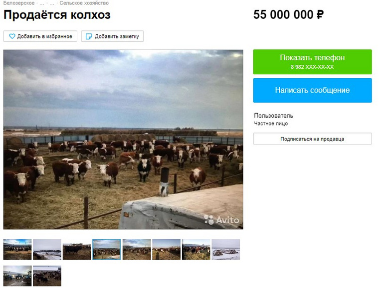 Стоимость действующей животноводческой фермы составляет 55 млн рублей