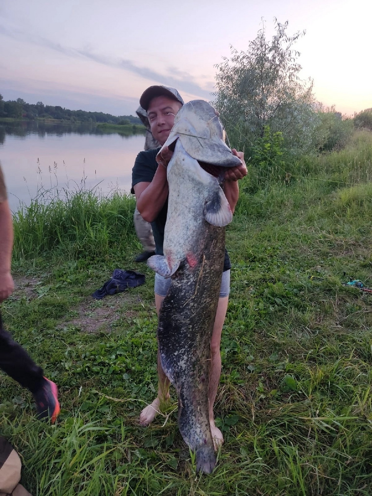 Рыбак с трудом удерживает свой улов