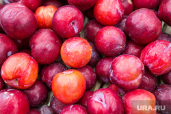 Продукты, овощи и фрукты. Тюмень, торговля, фрукты, сливы