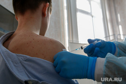 В России разработали вакцину от оспы обезьян