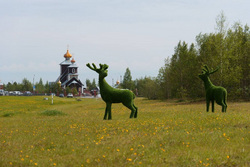 Оленей перевезли в Коротчаево и Лимбяяху