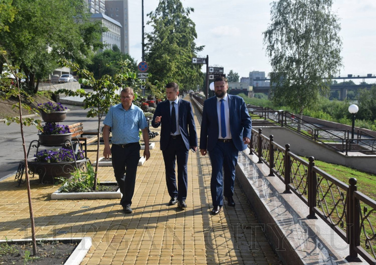 Каргаполов поручил провести ревизию деревьев и убрать несанкционированную рекламы с опор