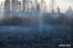 Последствия пожара в поле близ коттеджного поселка Совушки. Екатеринбург , дым, задымление, смог, последствия пожара, пожар в поле, лес в дыму, совушки