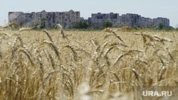 Пшеничные поля в Херсонской и Донецкой областях, ветряки в Новоазовском. Херсон