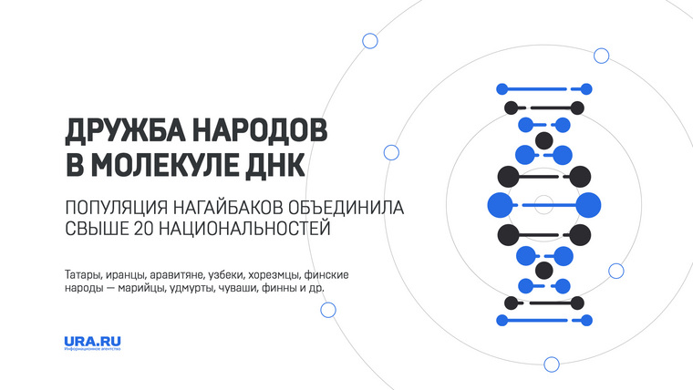 История сформировала особый генотип народности Нагайбакского района