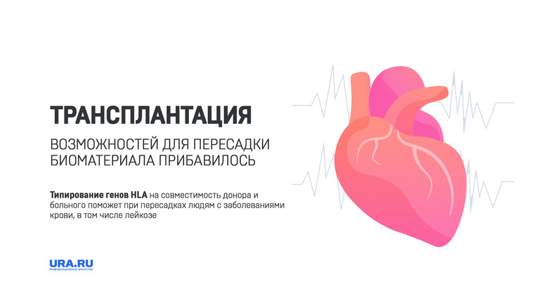Исследование расширило челябинский регистр потенциальных доноров стволовых клеток