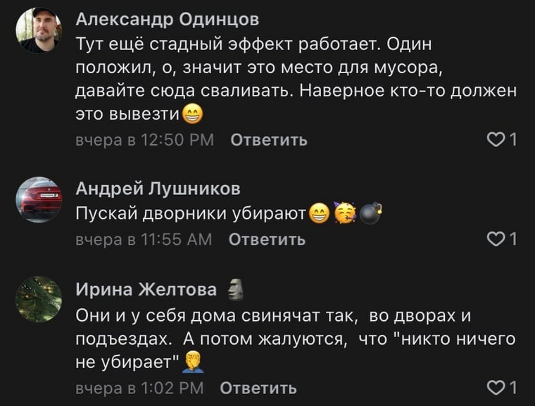 Большая часть подписчиков негативно настроена против тех, кто мусорит, но находятся и те пользователи, которые считают, что за ними должны убирать дворники