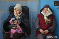 Ситуация в осажденном Мариуполе. Украина, старушки, бабушки, украина, мариуполь