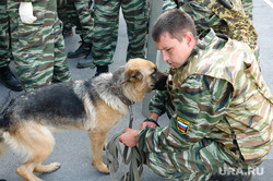 Бунт в колонии ГУФСИН (Архив 2007). Челябинск, собака, гуфсин