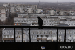 Обстановка в освобожденных районах в г. Мариуполь. Украина, украина, мариуполь, война, гуманитарная катастрофа, сво, специальная военная операция