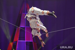 Открытая репетиция с животными в цирке. Екатеринбург, цирк, цирковое представление