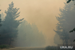Верховые пожары в поселках Джабык и Запасное. Челябинская область, лесной пожар, дорога